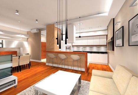 salon z kuchnią i kącik telewizyjny