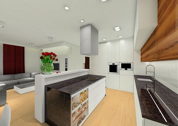 Projekt nowoczesnego apartamentu w Wilanowie