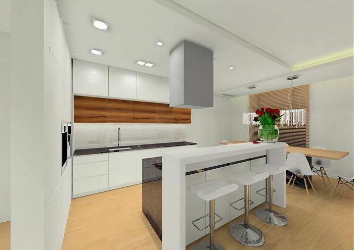 Projekt nowoczesnego apartamentu w Wilanowie